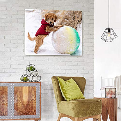 Personalized Photo to Canvas Print - Canvas Prints With Your Photos on Custom Wall Art for Bedroom, Living Room, Wedding Baby Pet Family Picture Framed Wall Art (20" W x 16" H) - size: 16"L x 20"W