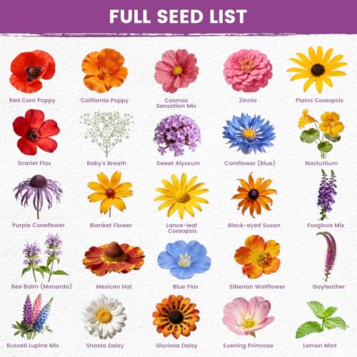 Wildflower Seeds Bulk Mix - 10,000+ Perennial & Annual Seeds - Texas, California & Florida Native Wildflower Seeds for Hummingbirds, Butterflies, & Cut Flowers - Cosmos, Throw and Grow - size: 25 Variety Perennial Mix