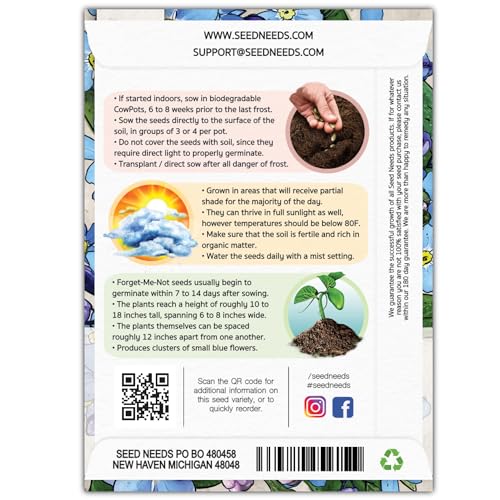 Seed Needs Forget Me Not Seeds to Plant Blue Annual Flowers 2 Packs - size: 2 Packs, style: Blue FMN
