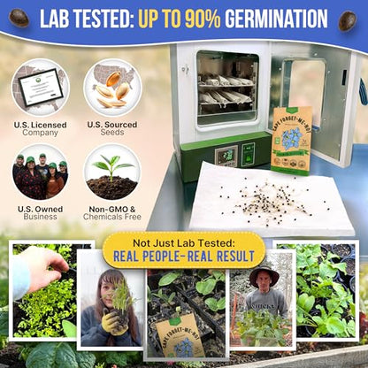 Cape Forget-Me-Not Seeds Pack 3G - Over 1,400 Non-GMO Heirloom Cape Forget-Me-Not Seeds for Planting Flowers in Individual Seed Packet, Flower Seeds for Planting Home Garden Indoor & Outdoor Gardening