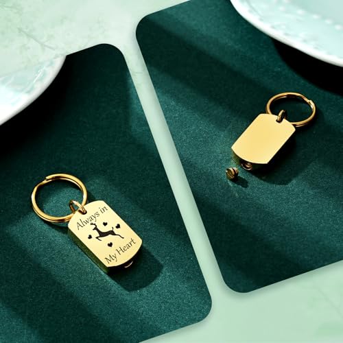 Cremation Jewelry Urn Keychain for Ashes for Women Men Memorial Keepsake Pendant - color: Silver