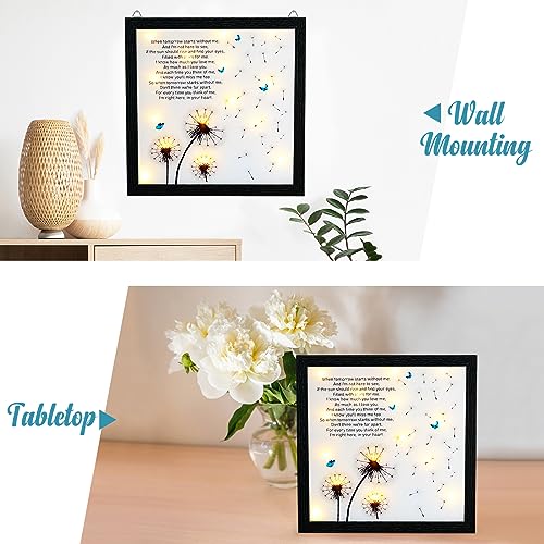 Memorial Gifts LED Shadow Box Sympathy Gift Condolences Grief Dandelion - size: Dandelion