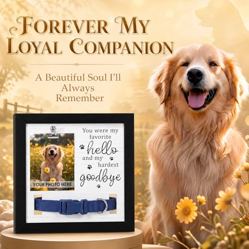 Novabright Dog Memorial Gifts for Loss of Pet, Sympathy Wooden Frame with Collar Holder, Paw Print, Dog Memorial Keychain Loss Sympathy Gift for Pet Cat Lovers