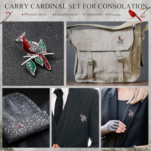 Jexine 20 Pcs Cardinal Pins Memorial Funeral Pocket Gifts - style: Special Style