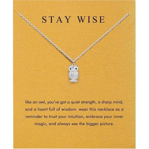 Baydurcan Pendant Necklace for Women Friends Sister Birthday Christmas Gift | Silver Evil Eye Ankh Mary Friendship Dragonfly Hummingbird Snake Turtle Pendant Necklace for Her Just Because Gifts - style: Owl