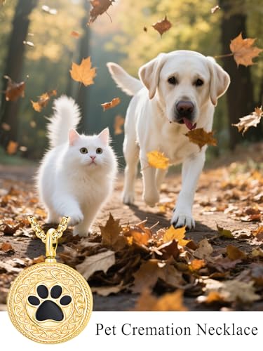 Pet Cremation Urn Necklace for Dog Cat Ashes 925 Sterling Silver Paw Print Keepsake Pendant Celtic Knot Memorial Jewelry for Women Men - style: 00E-Round Urn-(Gold Plated Personalized)