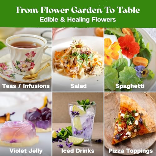 Lush&Dew Edible Flower Seed Bank with Almanac, Gardening Gifts for Women | 32 Types 30,000+ Non-GMO Heirloom Seeds for Planting Culinary Flowers, Survival Seed Kit, Gardener Gifts, Annuals Perennials - style: Edible Flowers