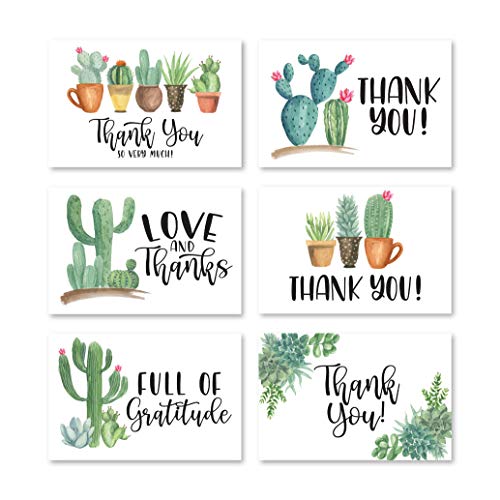 24 Bulk Thank You Cards with Envelopes Blank Cute Thank You Cards | Cactus 6 x 4 Appreciation Card Birthdays, Baby Shower, Teacher, Small Business, Party Guests, Coworkers & Holidays - color: Succulent
