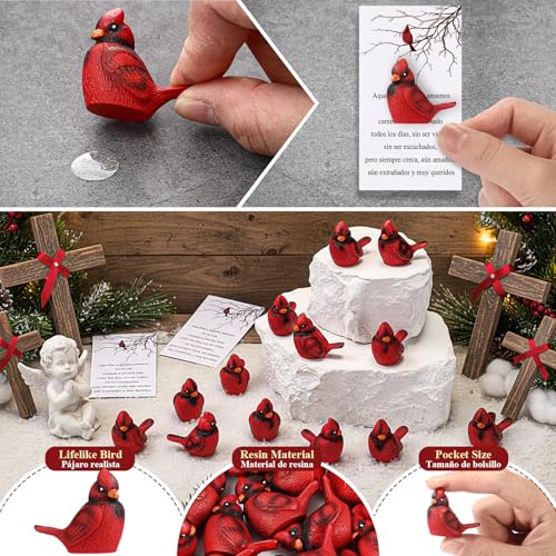 VioraWhite Cardinal Memorial Gift Resin Red Bird Cardinal Figurines Funeral Favor Memorial Gift Remembrance Poem Card for Family Friend Guest Garden Craft Cake Topper Decor(Spanish) - style: Spanish