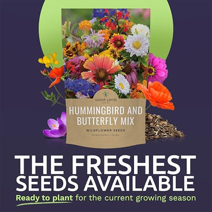 Bulk Wildflower Seeds Butterfly and Hummingbird Mix - 1 Pound Bag - Over 120,000 Open Pollinated Annual and Perennial Seeds - size: Bulk 1 Pound