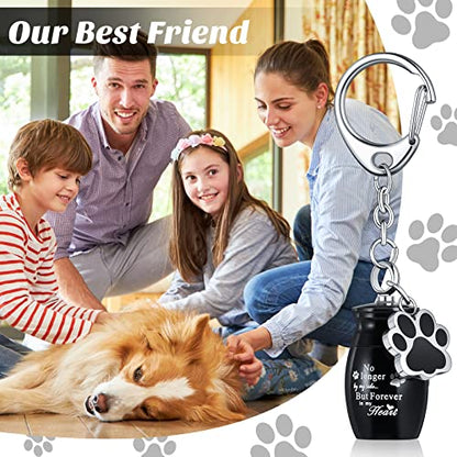 Tudomro Cremation Pet Dog Urns Keychain for Ashes with Storage Bag Stainless Steel Small Cat Paw Memorial Keepsake Jewelry - color: Black
