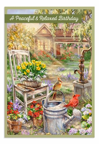 DaySpring - Dona Gelsinger - Down Home Birthday - 4 Design Assortment with Scripture - 12 Birthday Boxed Cards & Envelopes (U1610)