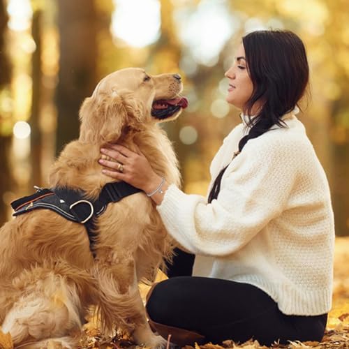 Sympathy Gifts for Loss of Loved One, Memorial Bereavement Gifts for Loss of Mother Father Husband Pets, Angel Bracelet Beads for Women - style: loss of dog