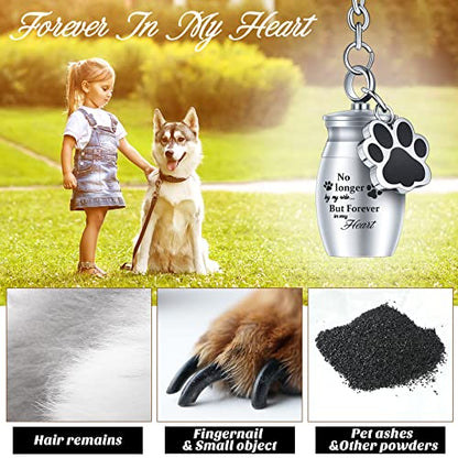 Tudomro 2 Pcs Pet Urn Keychain for Ashes Dog Cat Paw Print - color: Fresh Style