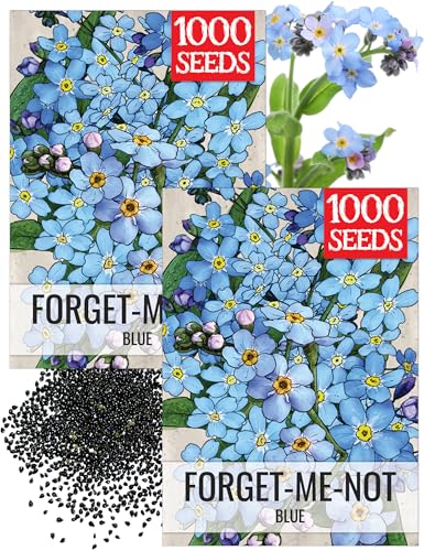 Seed Needs Forget Me Not Seeds to Plant Blue Annual Flowers 2 Packs - size: 2 Packs, style: Blue FMN