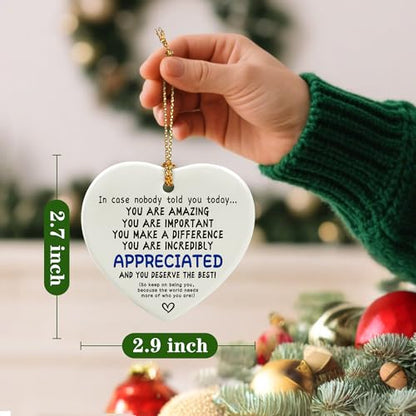 in Case Nobody Told You Today: You are Amazing, Important & Make a Difference - Affirmations Sign | Office Gift, Appreciation Gifts, Thank You Gifts, Going Away, Retirement Gift | Christmas Ornament - color: Deserve the Best