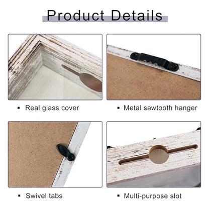 Ticket Shadow Box with Slot , Top Loading Shadow Box Display Case Frame Ready to Hang Memory Box , Pins, Awards, Medals, Wedding and Photos, White, 8x10 - color: White, size: 8*10