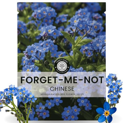 Chinese Forget Me Not – 800 Seeds for Planting – 2026 Season – 5 Grams - size: 0.18 oz