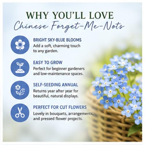 Chinese Forget-Me-Not Flower Seeds for Planting – 300+ Non-GMO & Heirloom Seeds, (Cynoglossum amabile), Blue Blooms for Pollinator Gardens, by Isla’s Garden Seeds, Great Gardening Gift