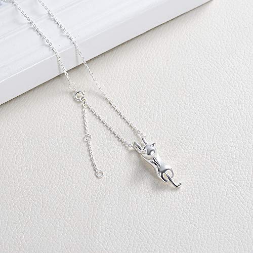 Imrsanl Pet Cremation Jewelry for Ashes Cat Urn Necklace - color: Sterling silver