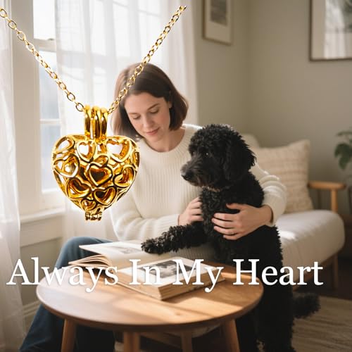 Paw Print Heart Pet Ashes Memorial Necklace with Mini Inner Box-B-Gold ﻿ | Pet Cremation Jewelry for Ashes, Cremation Urn Jewelry to Hold Dog & Cat Ashes Pendant with Box Filling Tools - color: B-Gold