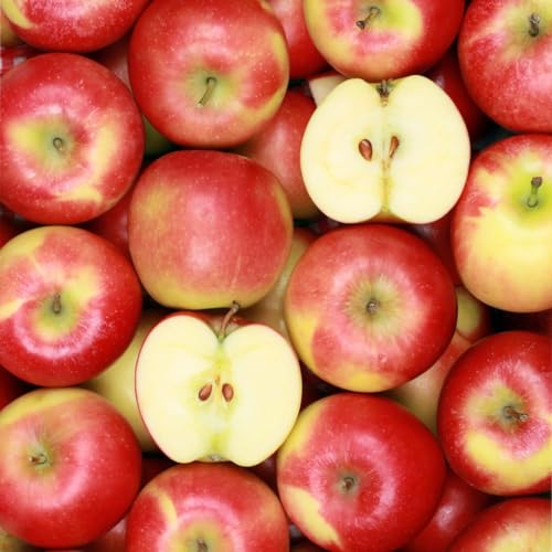 Capital City Fruit Signature Fresh Fruit Gift Basket with Apples, Pears, Crackers, Honey and Nuts (With Sympathy)