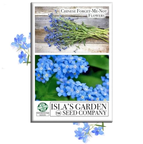 Chinese Forget-Me-Not Flower Seeds for Planting – 300+ Non-GMO & Heirloom Seeds, (Cynoglossum amabile), Blue Blooms for Pollinator Gardens, by Isla’s Garden Seeds, Great Gardening Gift