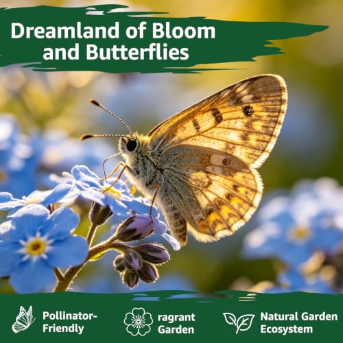 5600+ Forget Me Not Seeds for Planting, Easy to Grow Blue Forget-Me-Not Flowers, Perennial Wildflower Seeds for Ground Cover, Borders & Pollinator Gardens - size: 0.7 oz