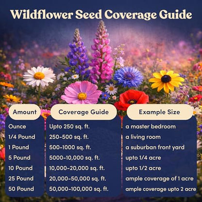 Bulk Wildflower Seed Shaker – Perennial Flower Seeds Mix to Plant Anywhere, by Geva Grow | 20 - Different Type Beautiful Perennial Wildflower Seeds Bulk 900,000+ Seeds, 1 Pound Tub - size: 1 Pound Tub, style: Premium Perennial Mix