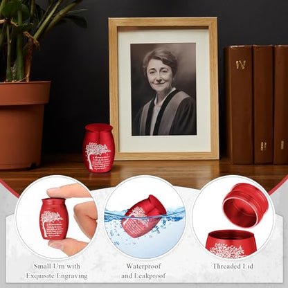 Shimeyao Set of 8 Small Urns for Human Ashes Cremation Urns Keepsake Ash Holders Family Tree Memorial Heart Locket Waterproof for Adults Women Men Loved Ones(Red) - color: Red