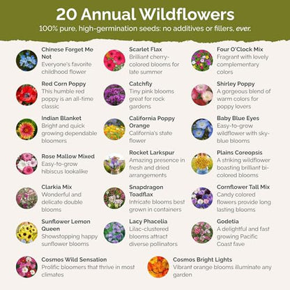 Eden Brothers All Annual Wildflower Mixed Seeds for Planting, 1/4 lb - size: 1/4 Pound, style: All Annual
