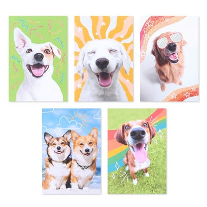 American Greetings 17-Count Thinking of You Blank Greeting Card Pack, Playful Dog Photo Assortment