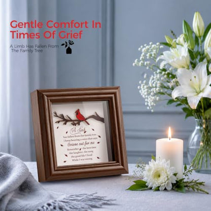 Cardinal Shadow Box Memorial Frame Sympathy Gift for Loss of Loved One - color: Cardinal - A Limb Has Fallen