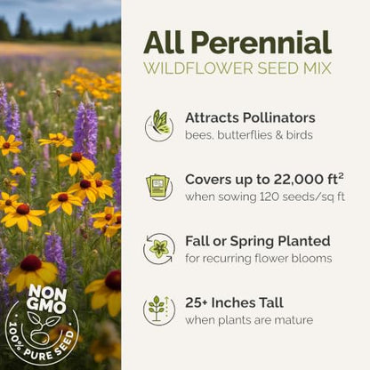 Eden Brothers All Perennial Wildflower Mixed Seeds for Planting, 5 lb, 2,400,000+ Seeds with Lupine, Shasta Daisy| Attracts Pollinators, Plant in Spring or Fall, Zones 3, 4, 5, 6, 7, 8, 9, 10 - size: 5 Pounds, style: All Perennial