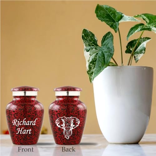 Customized Small Urns for Human Ashes Set of 4, Brown Keepsake Cremation Urns with Personalized Engraving, Guardian Elephant Design, Velvet Pouches & Gift Box