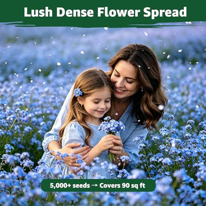 5600+ Forget Me Not Seeds for Planting, Easy to Grow Blue Forget-Me-Not Flowers, Perennial Wildflower Seeds for Ground Cover, Borders & Pollinator Gardens - size: 0.7 oz