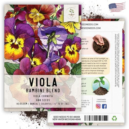 Seed Needs Bambini Viola Seeds to Plant an Annual Flower Garden 5 Packs - size: 5 Packs, style: Bambini Viola