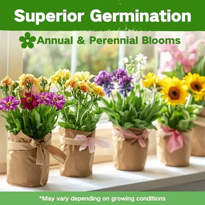 Lush&Dew Cut Flower Seed Bank, Gardening Gifts for Women, 32 Variety Seeds | Non-GMO Annual Perennial Wildflower Heirloom Seeds for Planting in Raised Garden Beds, Home Garden, Zinnia Sunflowr Zone 3-10 - style: Cut Flower