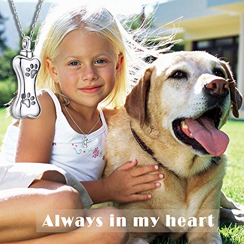 Aniu S925 Sterling Silver Urn Necklace Cremation Jewelry for Ashes - color: Pet Urn