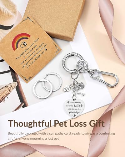 Belloxis Pet Memorial Gifts for Loss of Dog | Stainless Bridge Card Keychain, Rainbow Loss Sympathy Gift, Animal Paw Print Heart Key Chain for Women Men Pet Died - color: Stainless Steel Silver