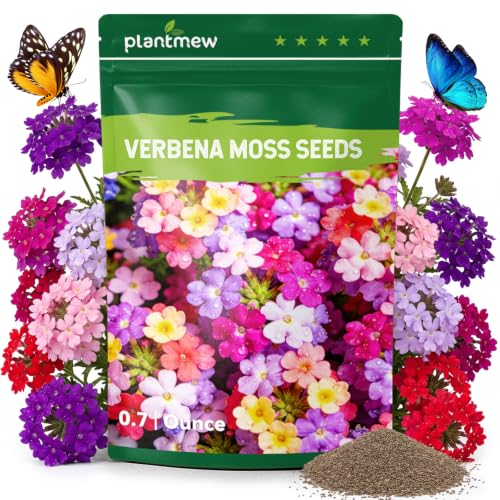 23,000+ Verbena Seeds for Planting, Verbena Bonariensis Seeds, Long Blooming Flowers for Ground Cover, Pollinator Gardens, Borders & Landscaping - size: 0.69 oz