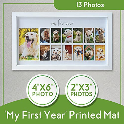 Green Pollywog My First Year Dog Picture Frame, 12-Month - size: Dog First Year Frame - White