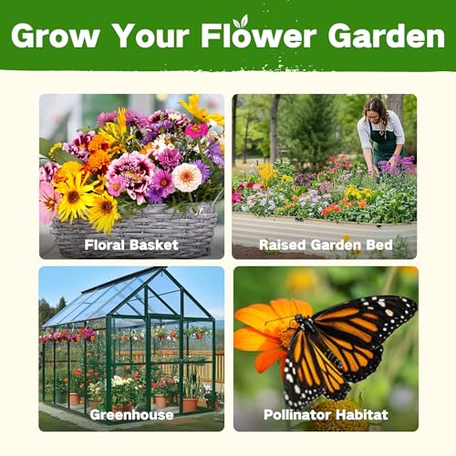 Lush&Dew Cut Flower Seed Bank, Gardening Gifts for Women, 32 Variety Seeds | Non-GMO Annual Perennial Wildflower Heirloom Seeds for Planting in Raised Garden Beds, Home Garden, Zinnia Sunflowr Zone 3-10 - style: Cut Flower
