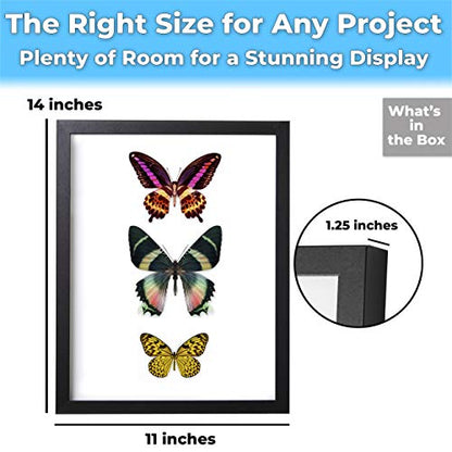 Super-Sturdy, 11x14 Black Shadow Box Frame With Glass 1. Great Seashell Display Case Size 9 None Quality Display Box - color: Black, size: 1pk