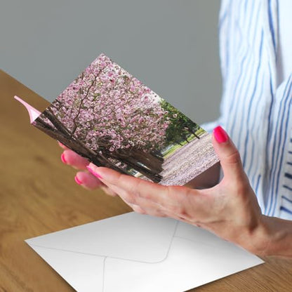 Designer Greetings For Your Words, Blank Cards 6 Pack - color: Cherry Blossom Trees