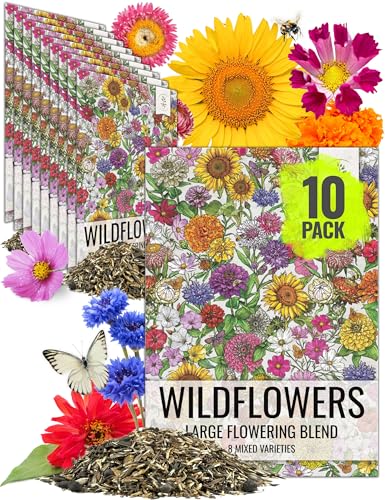 Seed Needs Wildflower Seeds Large Blooms Mix 10 Bulk Packs (1 Ounce Each) - size: 10 Packs, style: Large Blooms Mix
