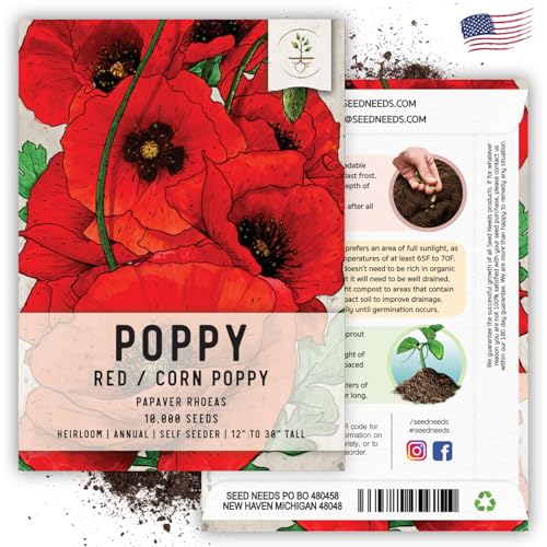 Seed Needs Red Corn Poppy Seeds to Plant Annual Flowering Poppies 1 Pack