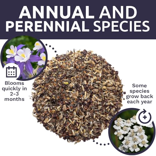 Deer Resistant Wildflower Seed Mixture - Bulk 1/4 Pound Bag - Over 60,000 Deer Tolerant Seeds - Open Pollinated and Non GMO - size: 1/4 Pound Bag