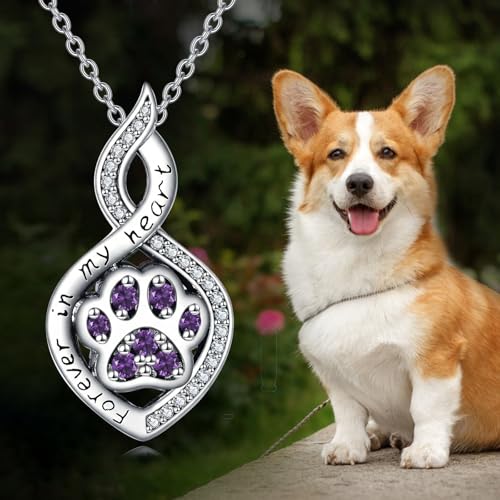 Butterfly/Dragonfly/Pet Paw/Tree of Life/Maple Leaf/Cross Urn Necklace for Ashes 925 Sterling Silver Cremation Pendant Jewelry Gifts for Women Mom - color: Paw-February