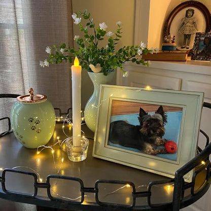 Medium Pet Urns for Dogs Ashes, Ceramics Pet Urn for Cat Ashes - color: Green